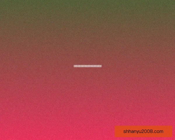 宠物陪伴下的幸福生活探讨与养宠技巧分享